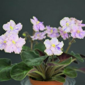 ЛЕ-Фарфоровая Статуэтка (Е. Лебецкая)