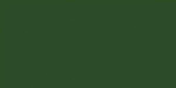 Philodendron hederaceum Cream splach - Image 4